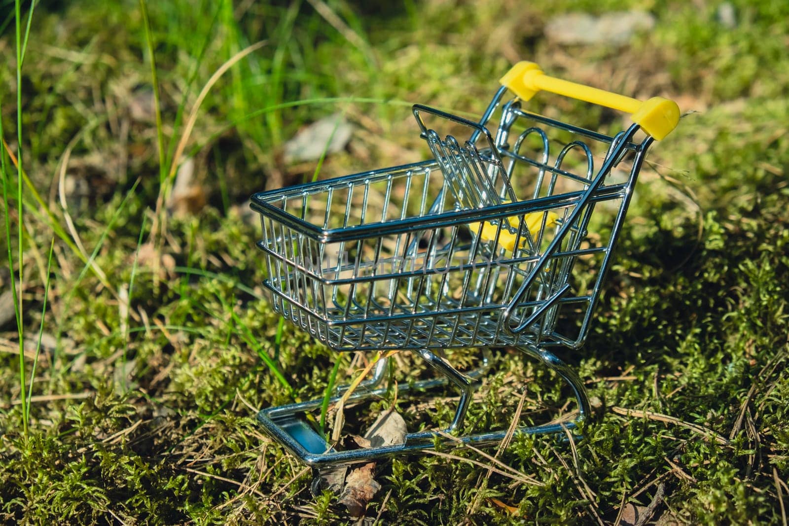 Shopping trolley on Background nature, forest, trees greenery. Sustainable lifestyle, conscious consumption. Mindful spending Black Friday sale discount shopaholism, ecology concept. The concept of purchase of environmentally friendly products, delivery of products from farms, locally grown