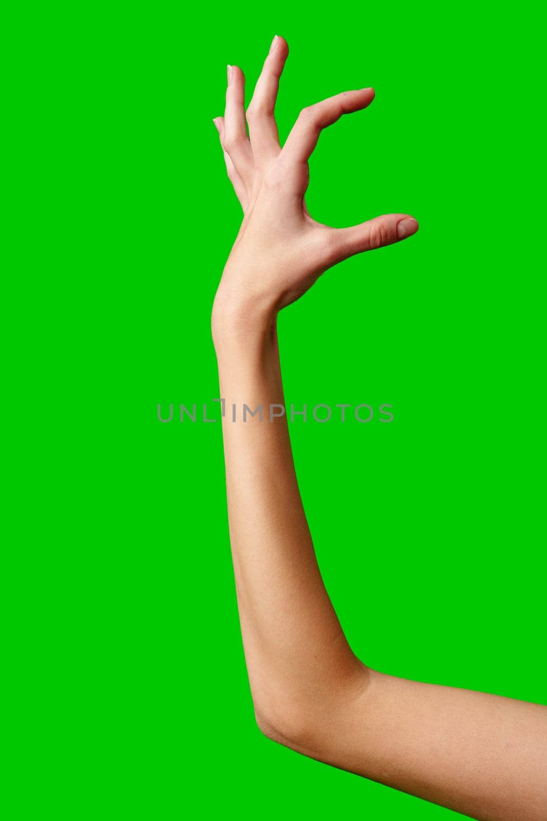 A womans hand extends upward into the air, fingers outstretched, reaching upward towards an unseen destination. by Fabrikasimf