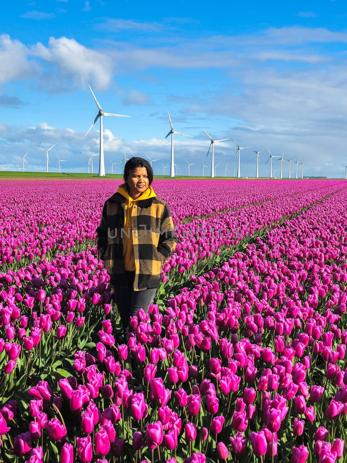 A graceful woman stands among a vibrant field of purple tulips, bathed in the soft light of a Spring day in the Netherlands.