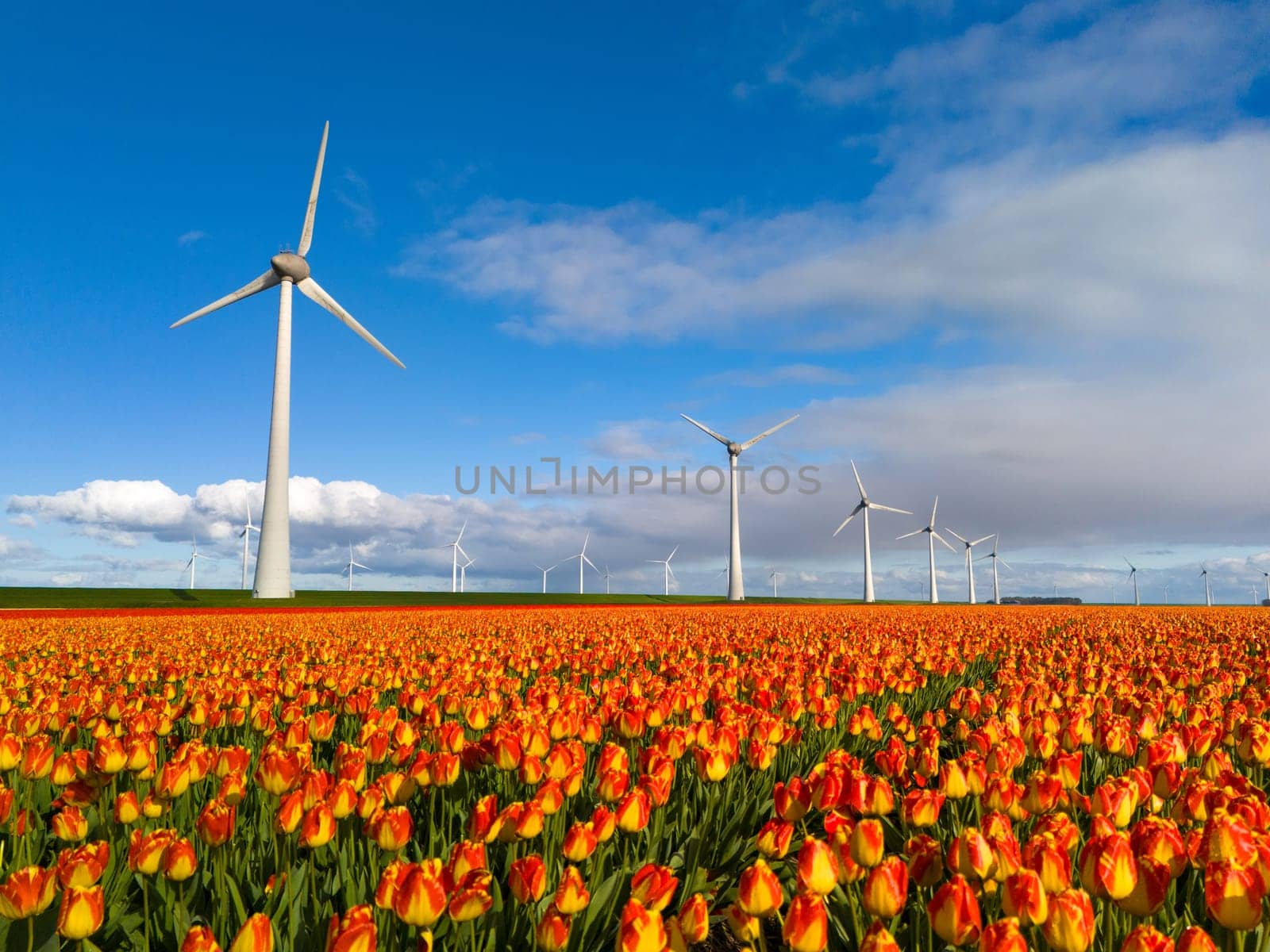 offshore windmill park with clouds and a blue sky, windmill park in the ocean drone aerial view with wind turbine Flevoland Netherlands Ijsselmeer by fokkebok