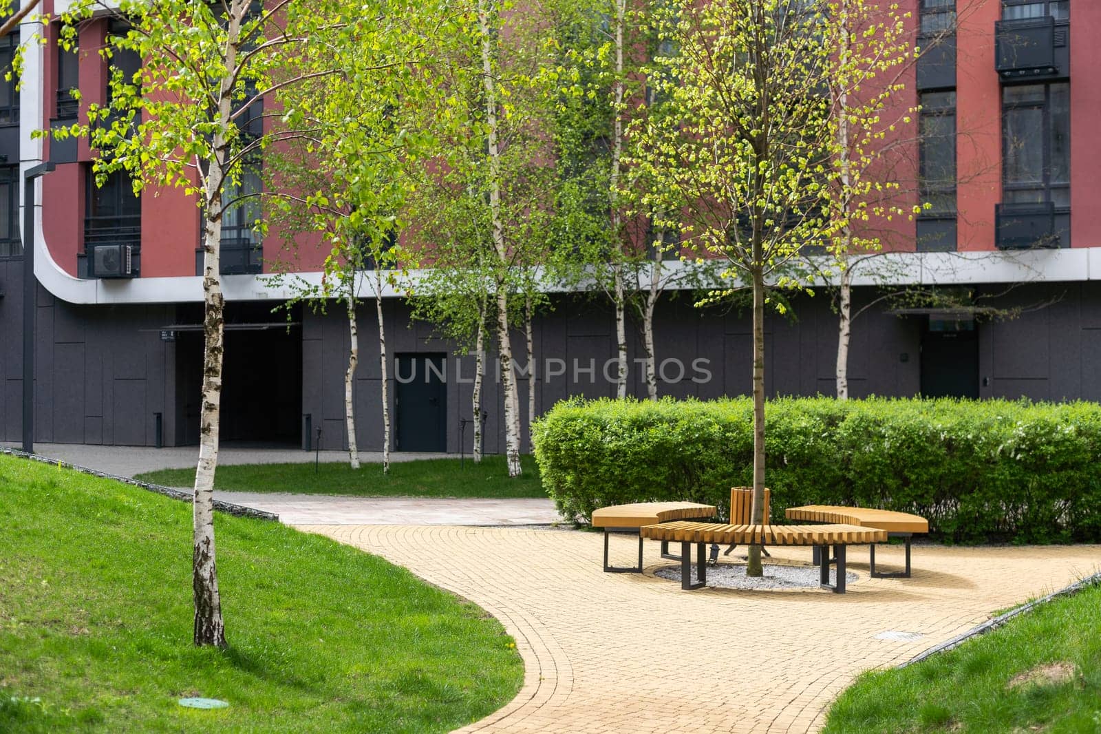 Wooden brown bench in the park, close-up. Wood texture. Empty bench in the summer park. High quality photo