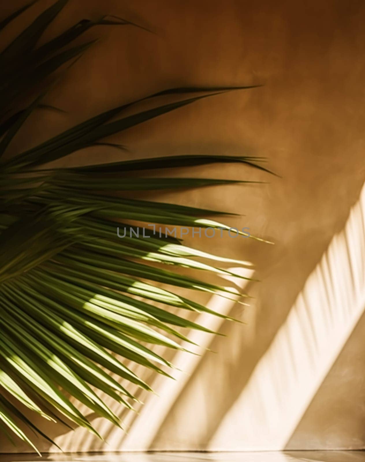 Tropical background for a product placement, palm tree leaves and sunlight shadows on the wall, minimalistic botanical backdrop, palms on a hot sunny day, generative ai by Anneleven