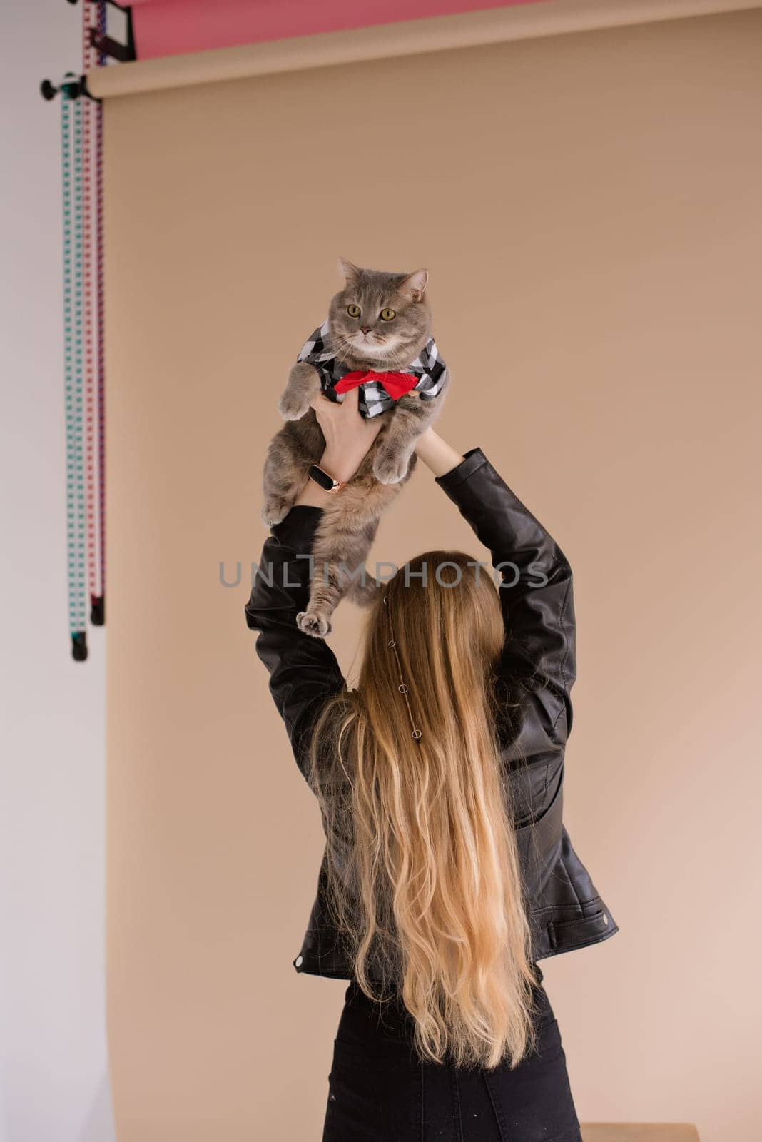 Woman blonde with scottish straight cat at studio by OksanaFedorchuk