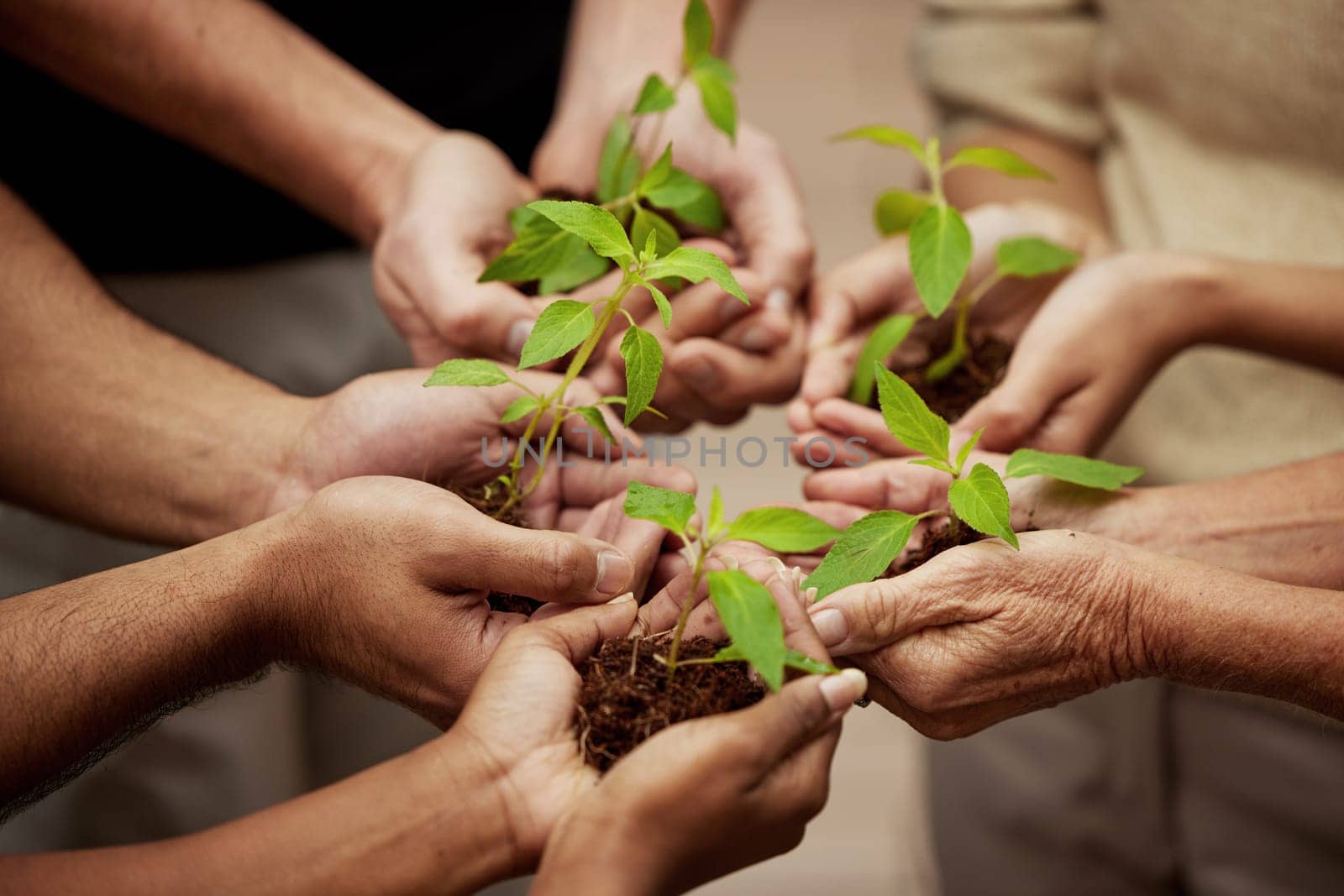 Hands, plants and growth with people or team, business and eco friendly for earth day or collaboration support. Investment, environment and community service, nurture or agro for sustainability.