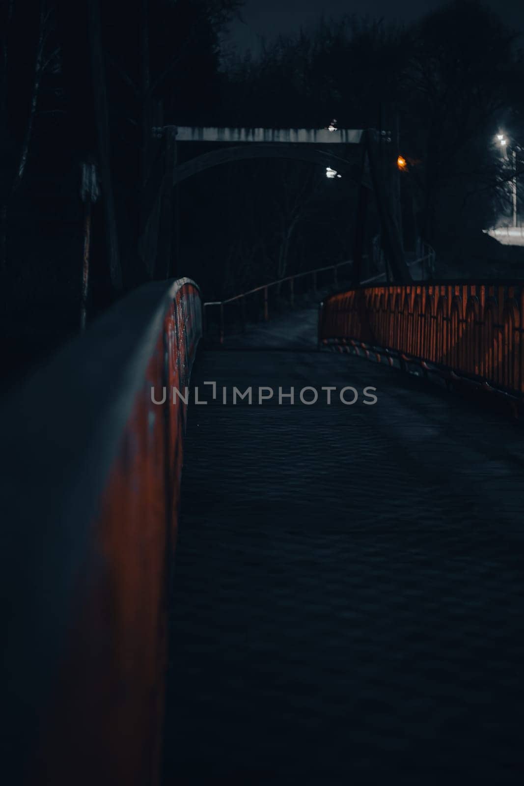 Street photo - Pedestrian Bridge. High quality photo