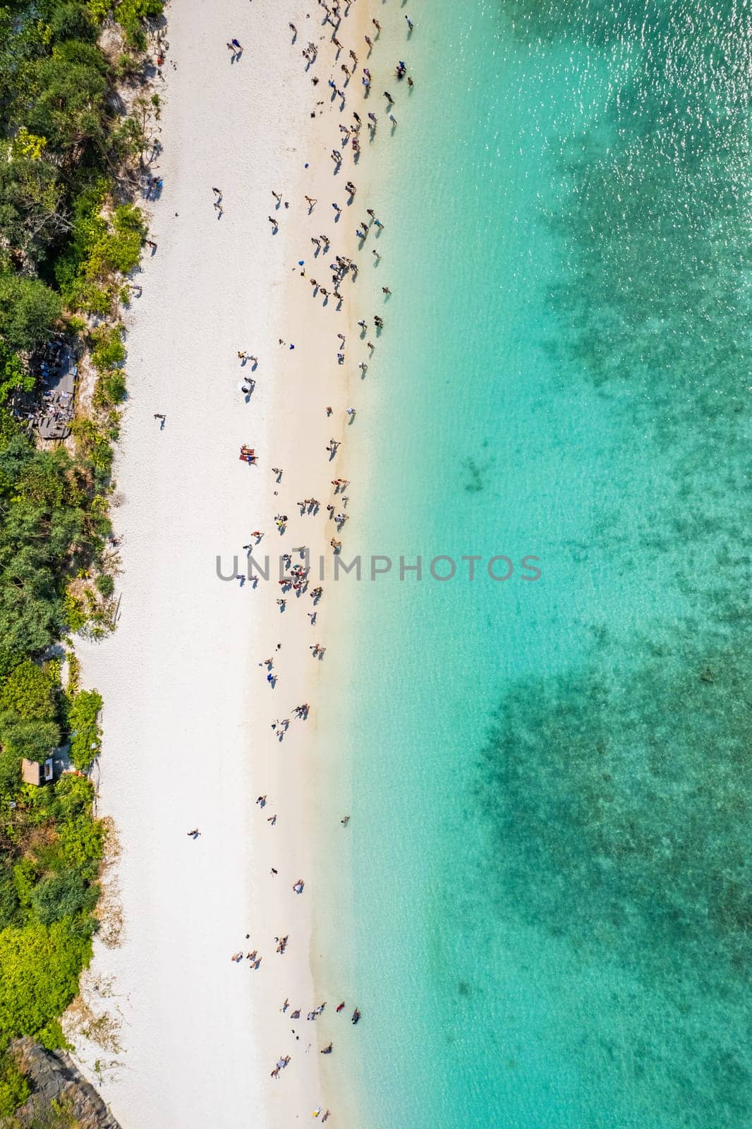 Aerial view of Maya bay beach in koh Phi Phi Leh, Krabi, Thailand by worldpitou