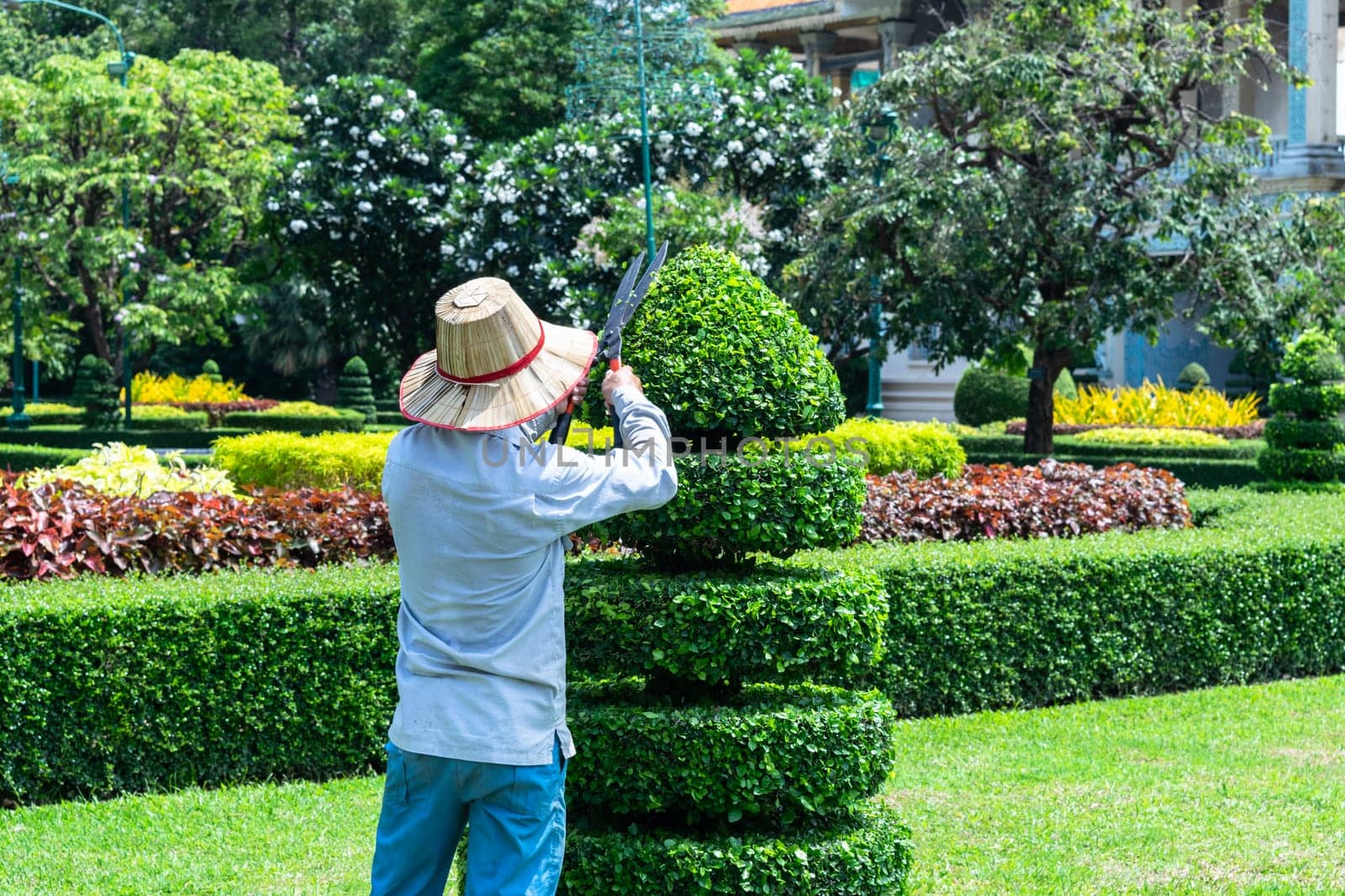 Senior man pruning tree in orchard. Gardening at spring. by Peruphotoart