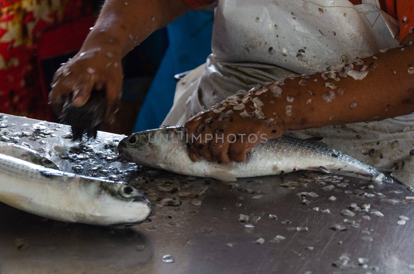 Man's hand with gloves prepares fish for sale in the market. by Peruphotoart