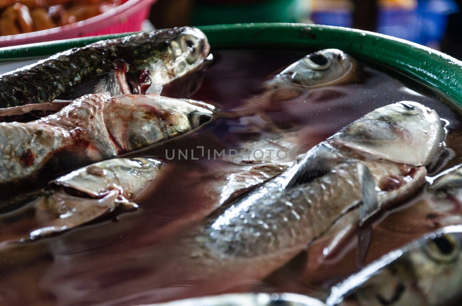 Fresh fish selling in the market in Chorrillos market in Lima, Peru