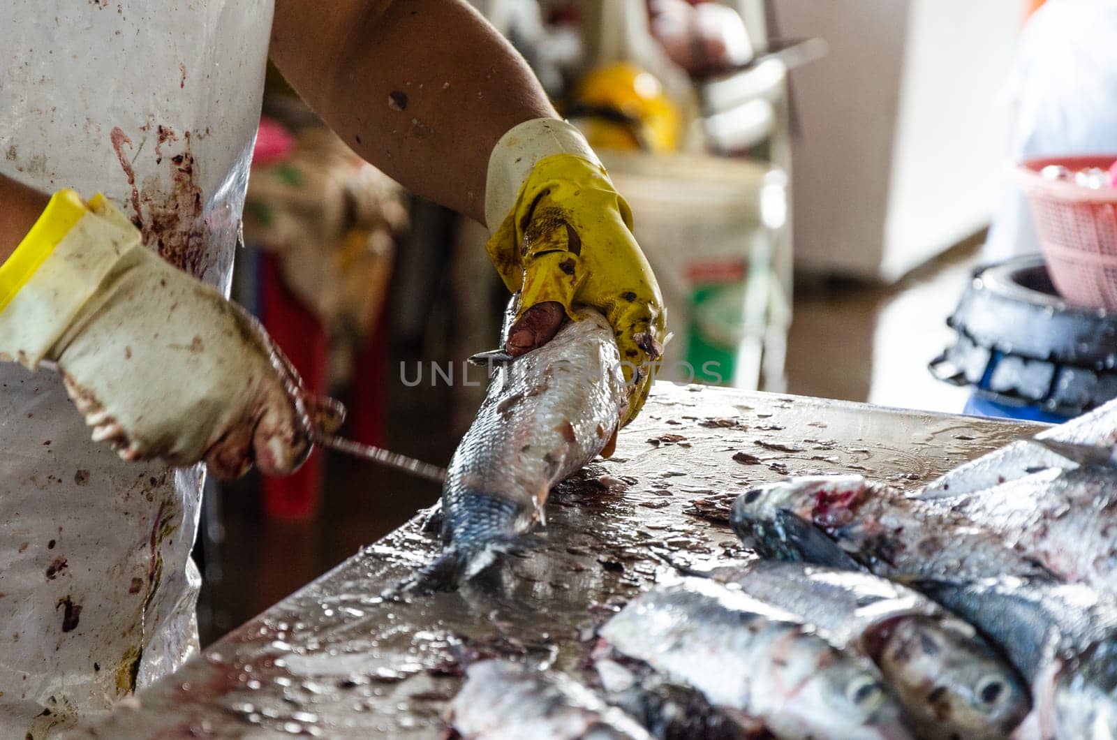 Man's hand with gloves prepares fish for sale in the market. by Peruphotoart