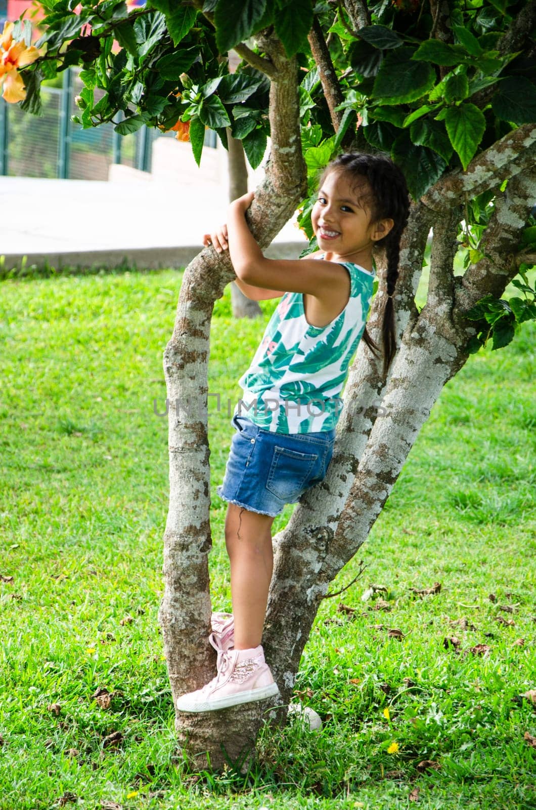 Cute little girl is playing in the park climbing on a tree. by Peruphotoart