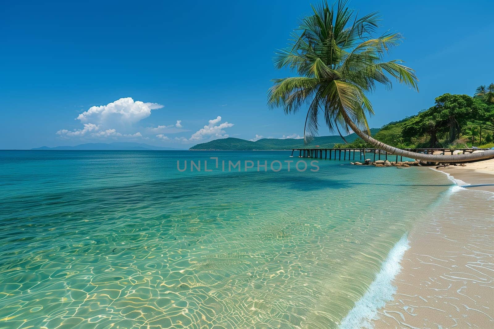 A tall palm tree standing on a sandy beach with crystal-clear blue water in the background under a sunny sky.