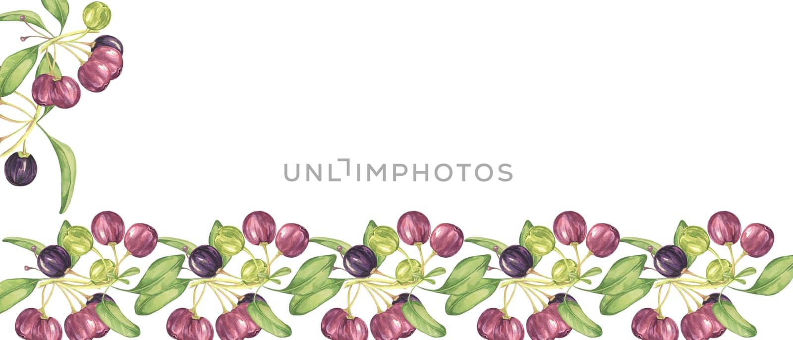 Maqui berriy and leaves in purple and green banner. Watercolor illustration of Chilean wineberry cherry plant for printing,packaging, web design by Fofito