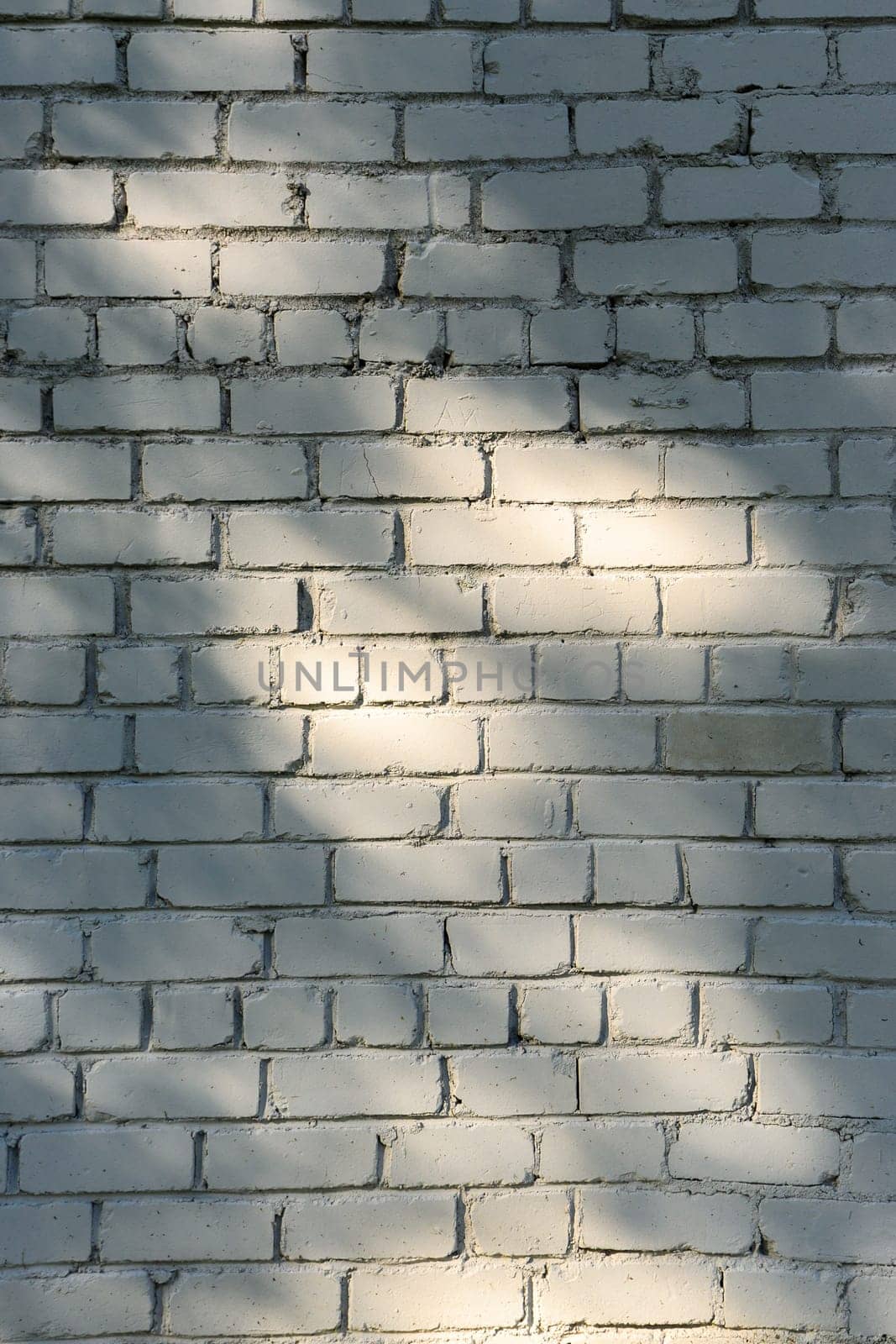 shadows from tree leaves on a light brick wall