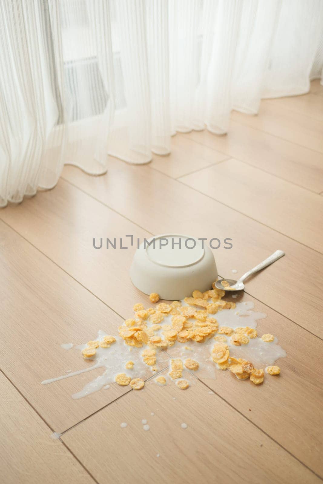 Spilled breakfast cereal on floor by towfiq007