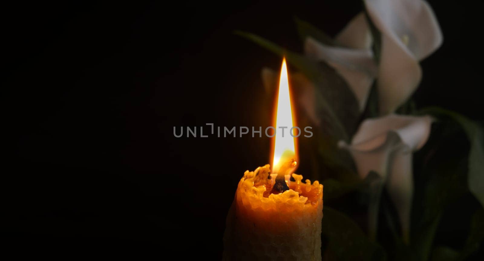 Single burning wax candle radiating a gentle flame next to white calla lily flower in a dark environment. Close-up view with free copy space