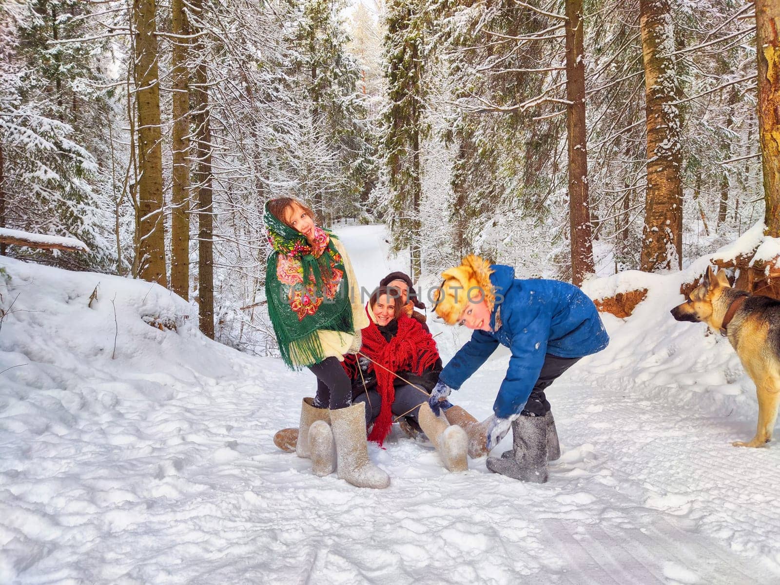 Joyful family ethnic dress with shawls, earflap hats, dog, sledge in winter forest in carnival Maslenitsa in Russia. Tourists in spring Shrovetide. Mother, father, son, daughter having fun in snow