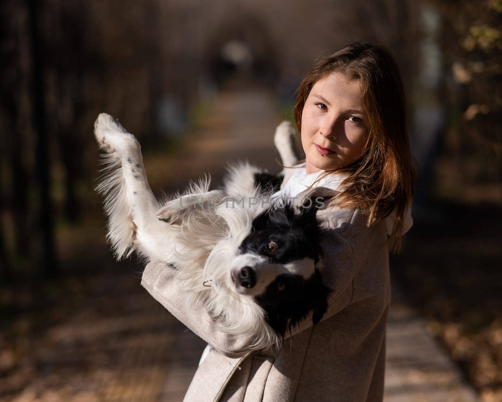Caucasian woman holding a border collie in her arms while walking in the autumn park. Portrait of a girl with a dog