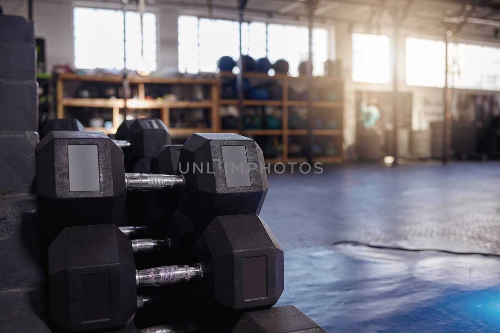 Sports, gym and dumbbells in empty room for fitness, wellness and body transformation, change or progress. Workout, equipment and weights at health club for never give up, motivation or resilience.