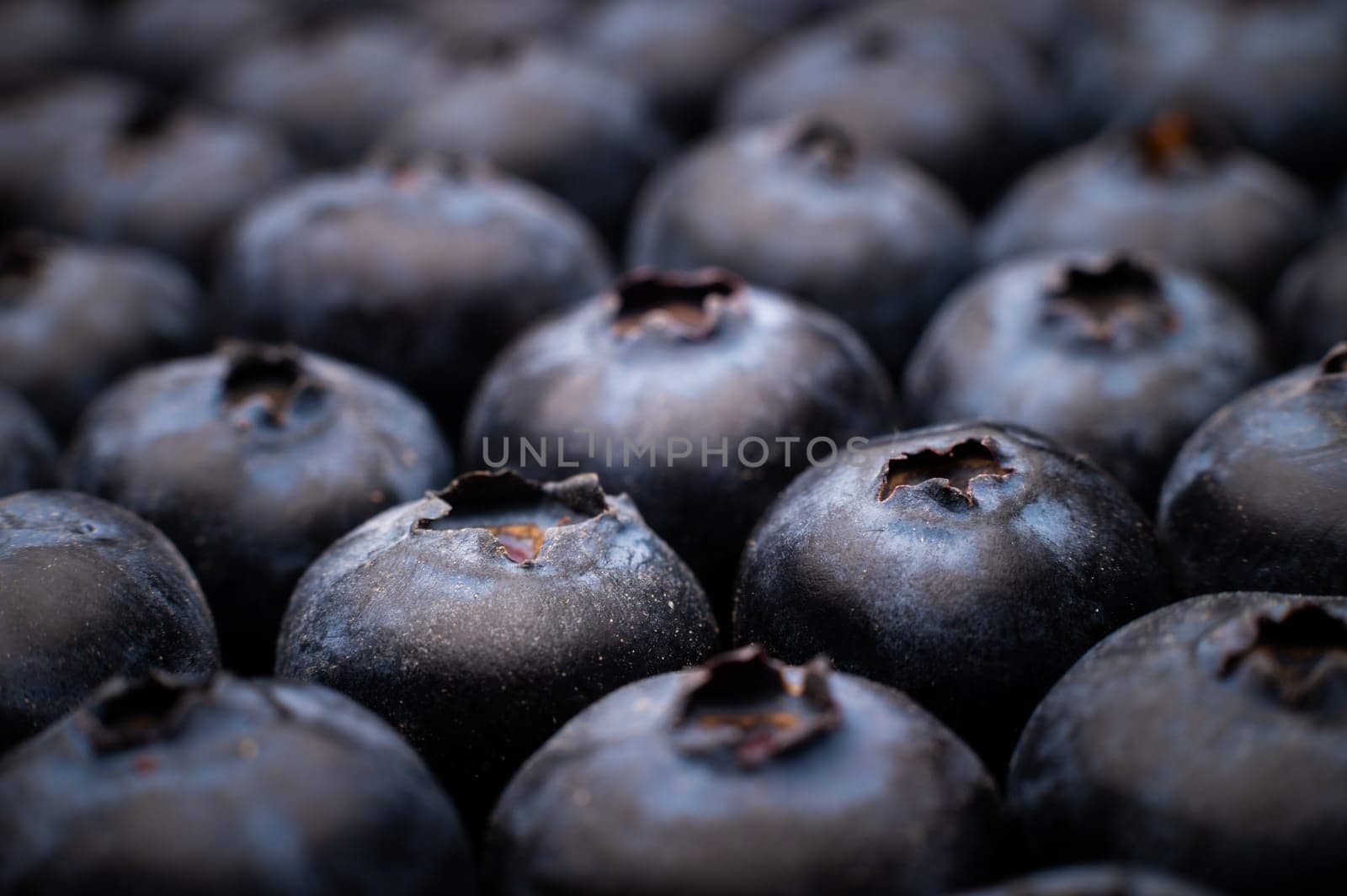 Ripe sweet blueberries. Fresh blueberries background. Vegan and vegetarian concept. Macrotexture of blueberries. Texture of blueberries close-up by yanik88
