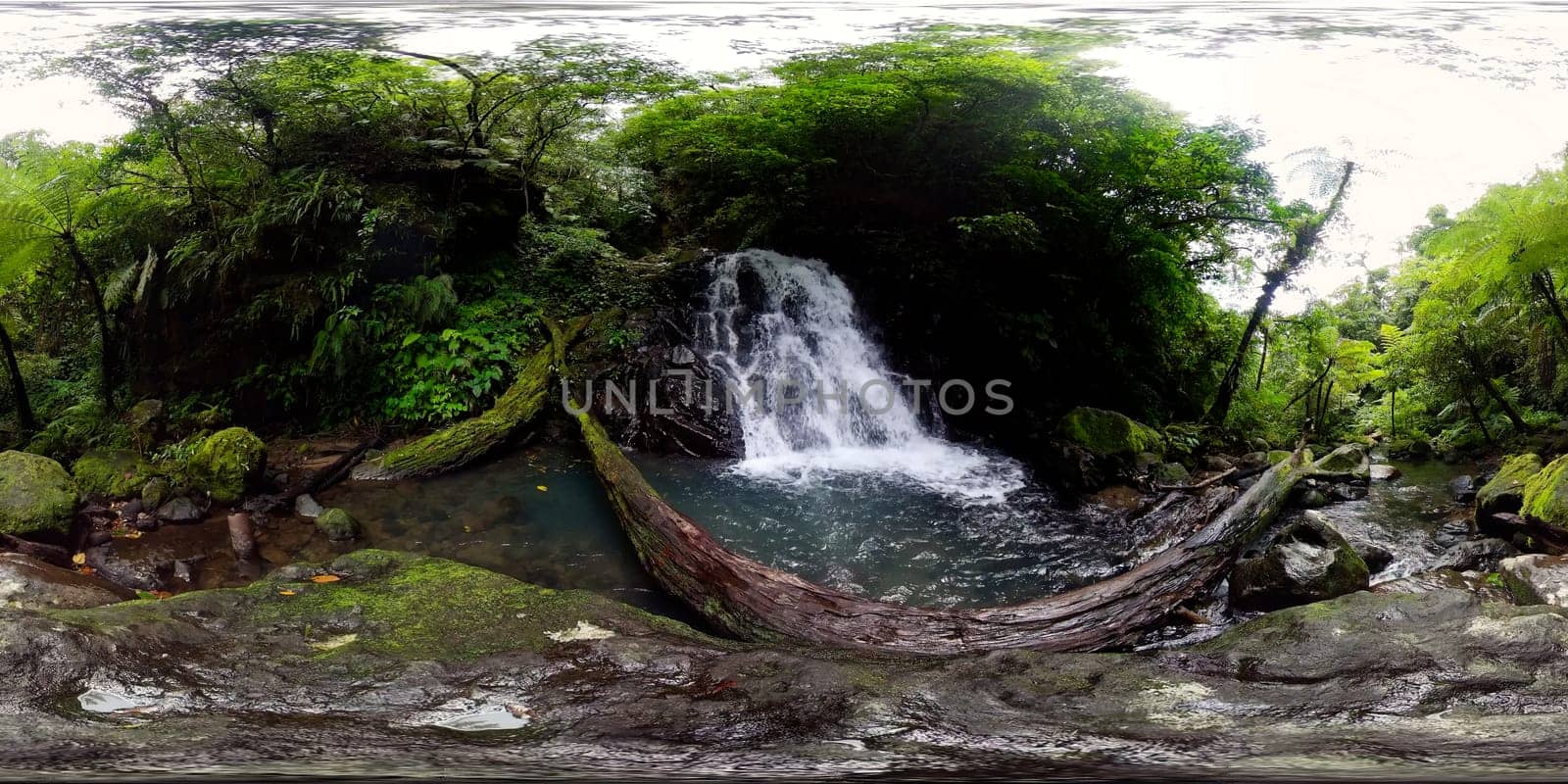 Tropical Malisbog Waterfalls in jungle.360-Degree view. by Alexpunker