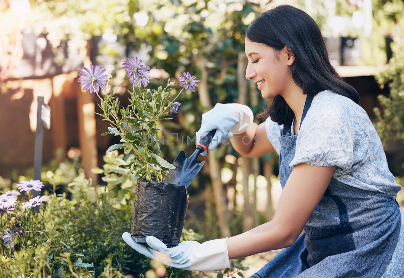 Woman, smile and plants with shovel for gardening at store in startup with passion for nature with relax. Florist, green and shop with purple daisy for selling in spring for growth with happiness.