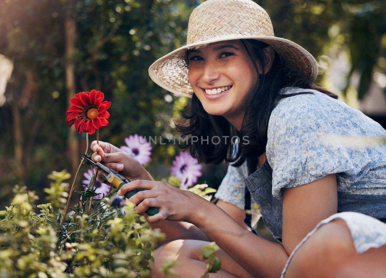 Flowers, cut or portrait of girl florist gardening natural red plant for growth, development or nursery. Gardener, scissor or happy woman farming for nature, horticulture and floral sustainability.