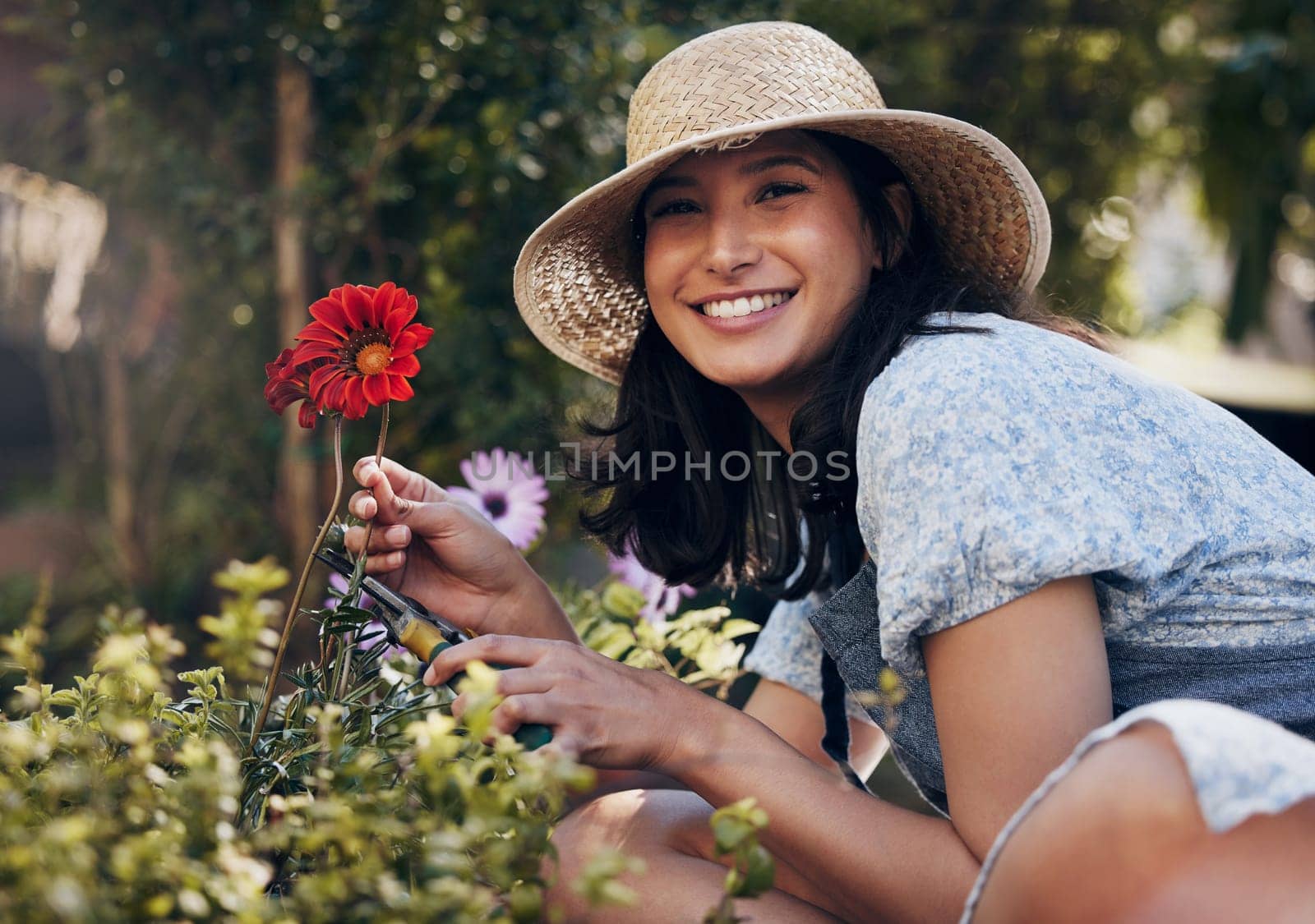Red flower, cut or portrait of girl florist gardening natural plants for growth, development or nursery. Gardener, scissor or happy woman farming for nature, horticulture and floral sustainability.