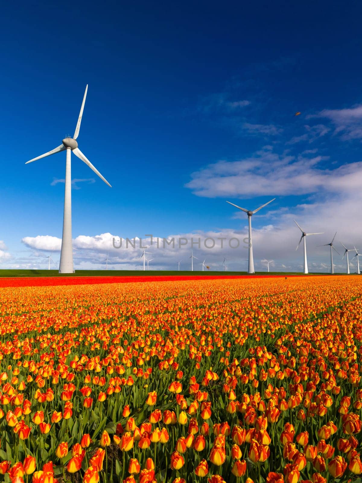 windmill park with spring flowers and a blue sky, windmill park in the Netherlands, Green energy, energy transition