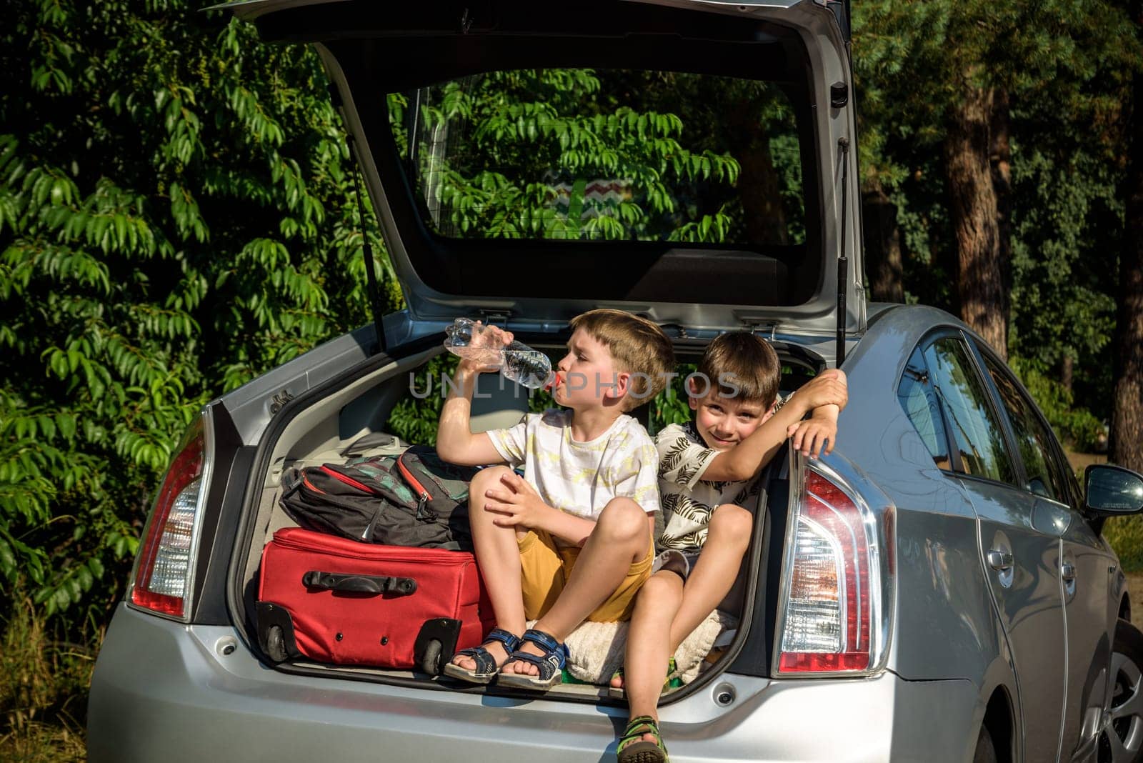 Two cute boys sitting in a car trunk before going on vacations with their parents. Two kids looking forward for a road trip or travel. Summer break at school. Family travel by car by Kobysh