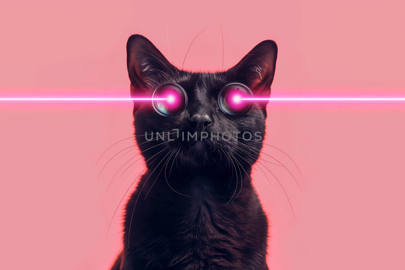 Cat with lasers from eyes. Minimal collage fashion concept