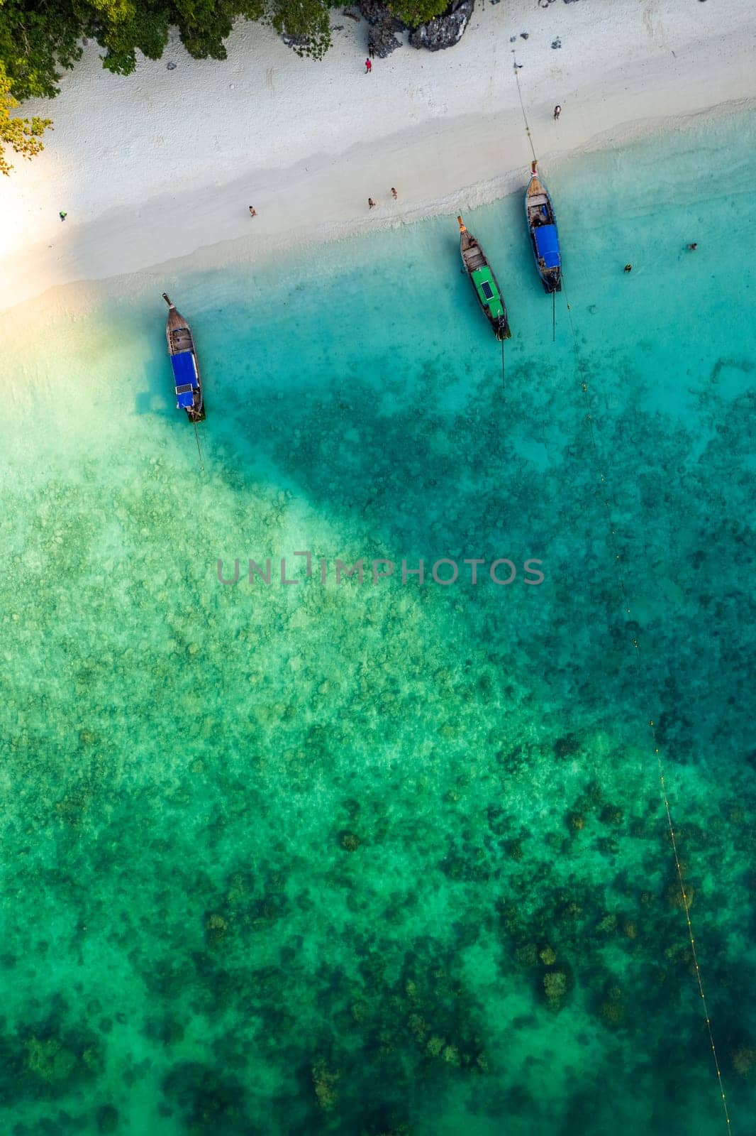 Aerial view of monkey beach in Koh Phi Phi island in Krabi, Thailand by worldpitou