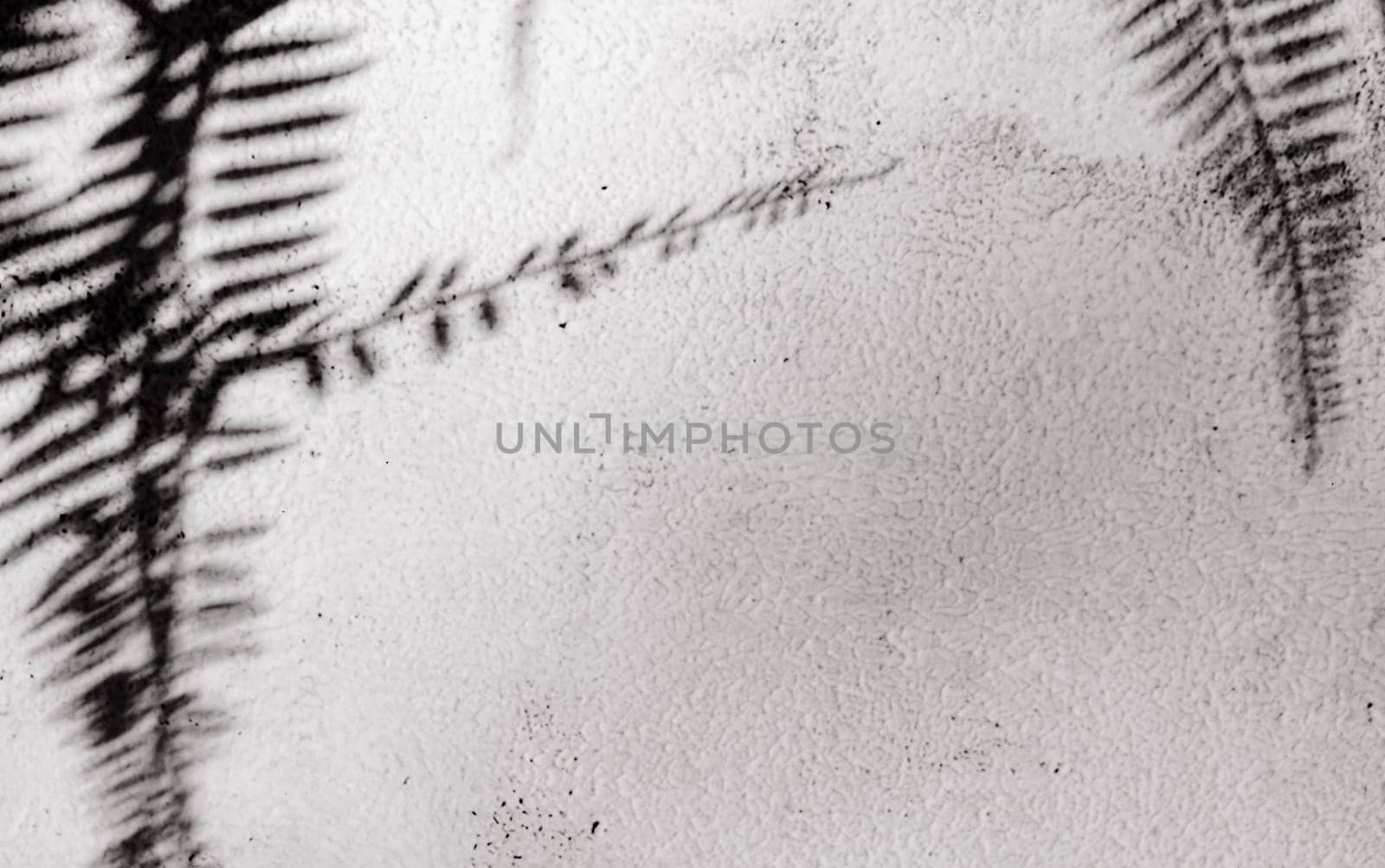 Beautiful gray stone background with black shadows from palm branches on the sides, close-up side view. Black and white.