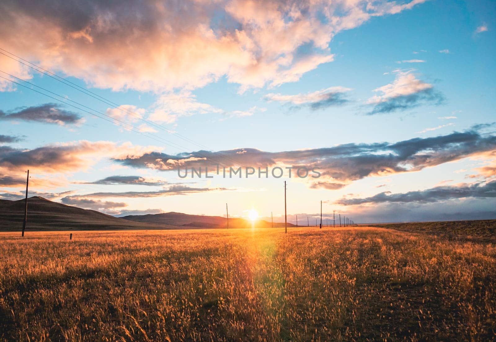 Stunning rural landscape. Sunset over the golden wheat field. Blue sky with dramatic clouds at sunset. Sun sets down. Summer.