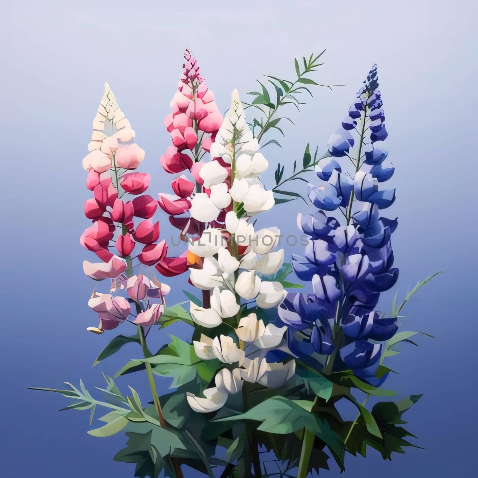 Illustration was a pocket of colorful white, pink, navy blue flowers. Flowering flowers, a symbol of spring, new life. A joyful time of nature waking up to life.