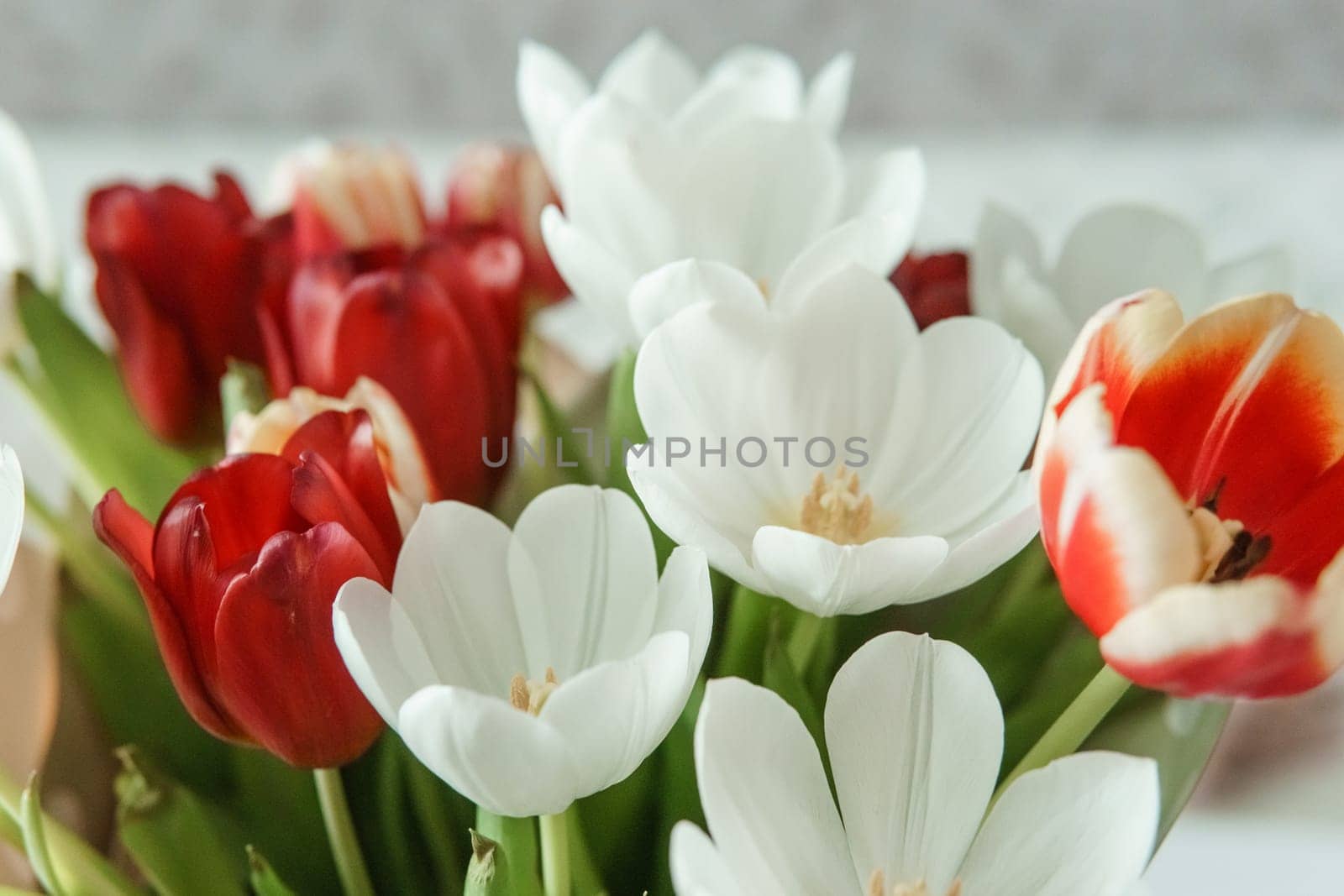 Spring Inspiration: Tulip Bouquet in Honor of International Women's Day by Annu1tochka