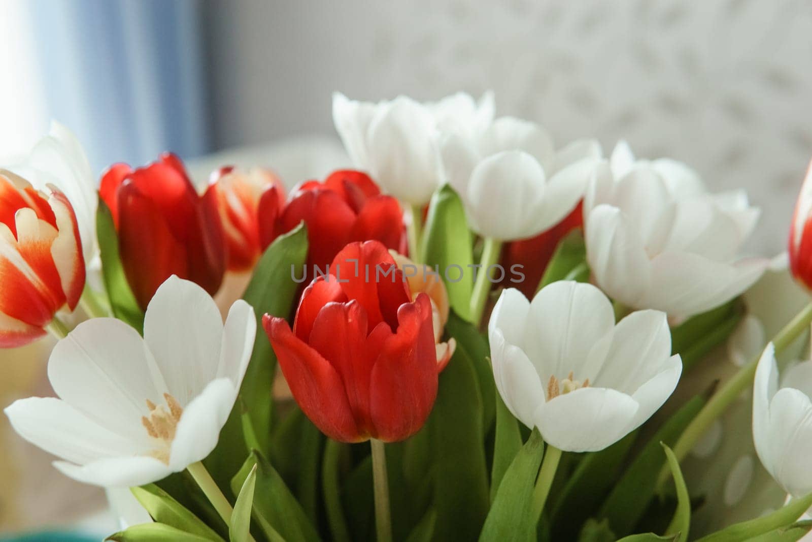 Spring Inspiration: Tulip Bouquet in Honor of International Women's Day