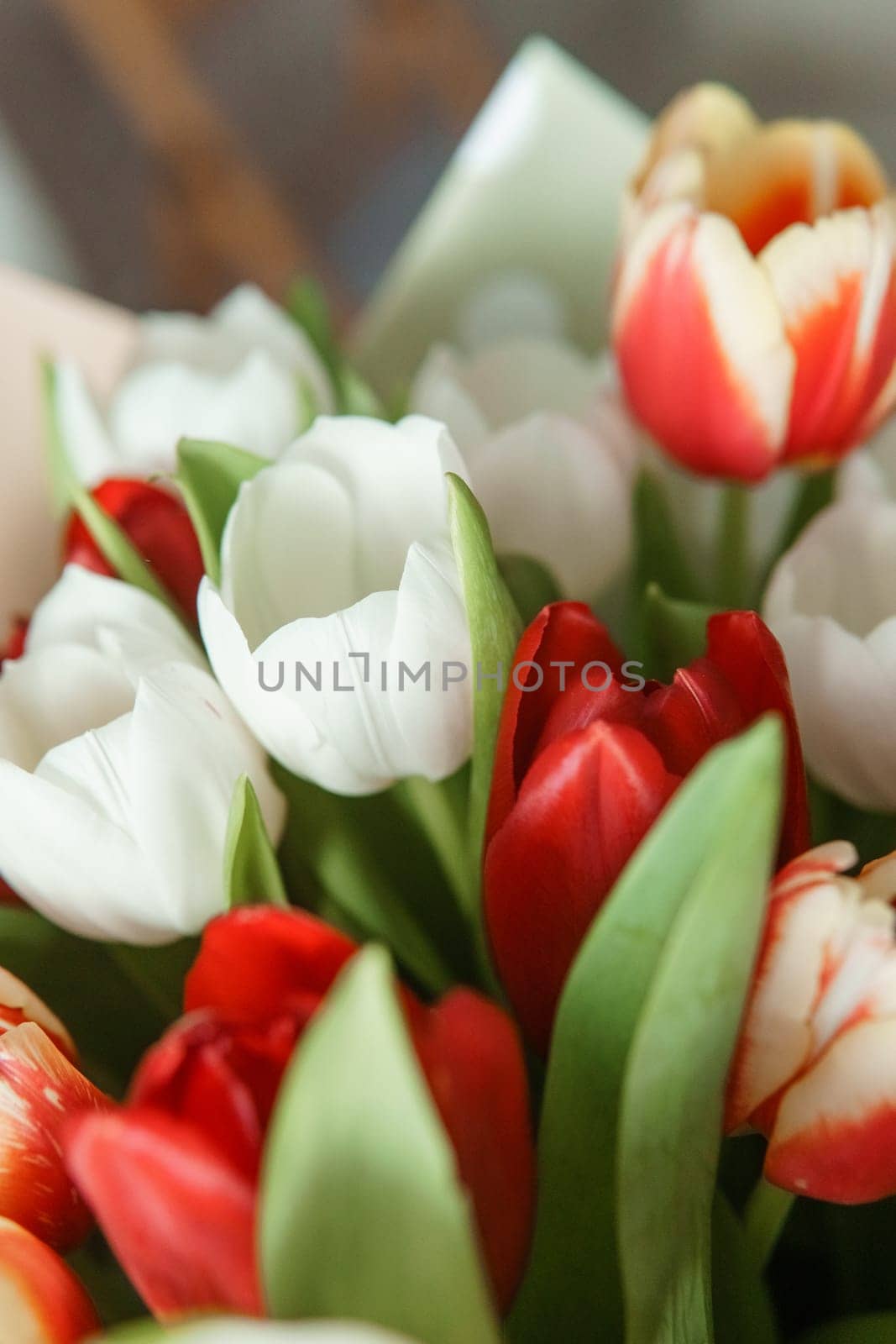 Spring Gift: Bright Tulip Bouquet for a Special March 8th Celebration by Annu1tochka
