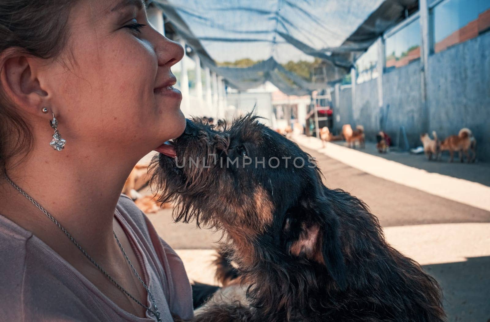 close-up shot of female volunteer holds on hands dog in shelter