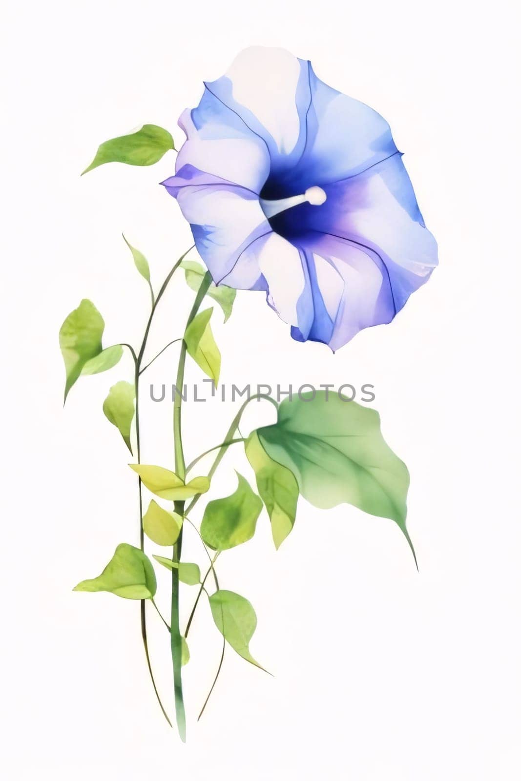 Drawn, painted blue flower cup flower on isolated white background. Flowering flowers, a symbol of spring, new life. by ThemesS