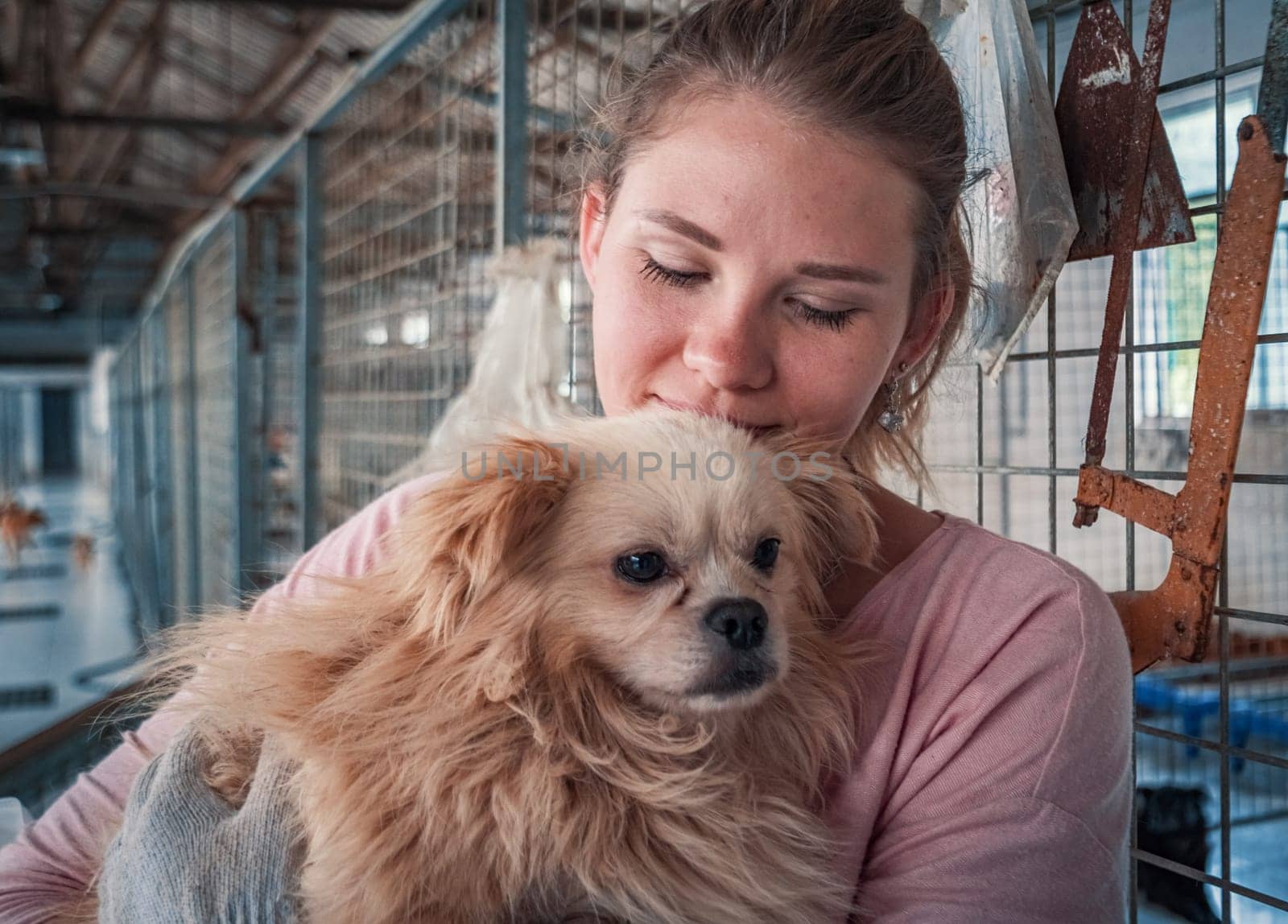 Close-up of female volunteer holds on hands dog in shelter. Shelter for animals concept by Busker