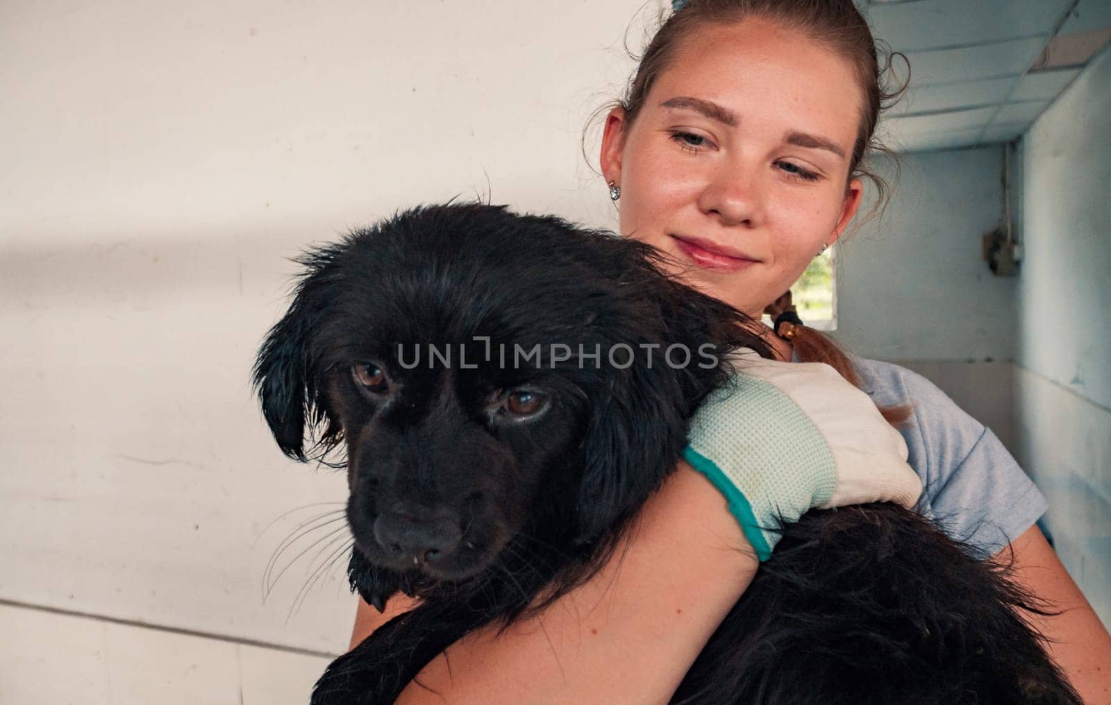 close-up shot of female volunteer holds on hands dog in shelter