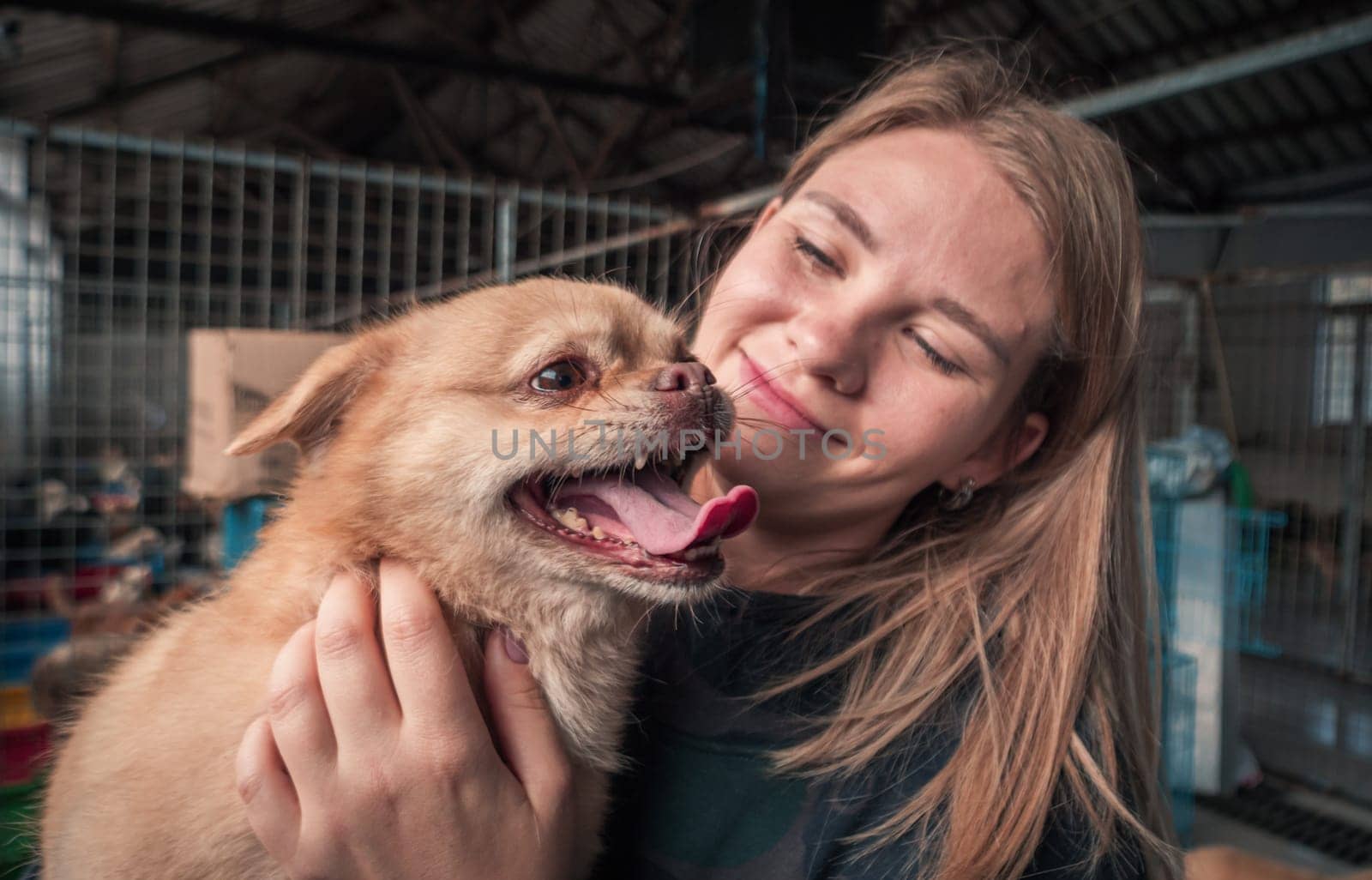 close-up shot of female volunteer holds on hands dog in shelter