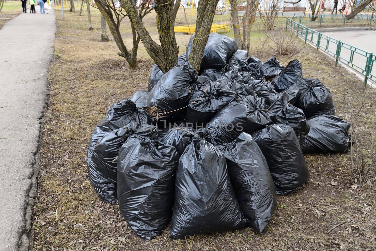 Spring garbage and last year's leaves in black bags near the tree by olgavolodina