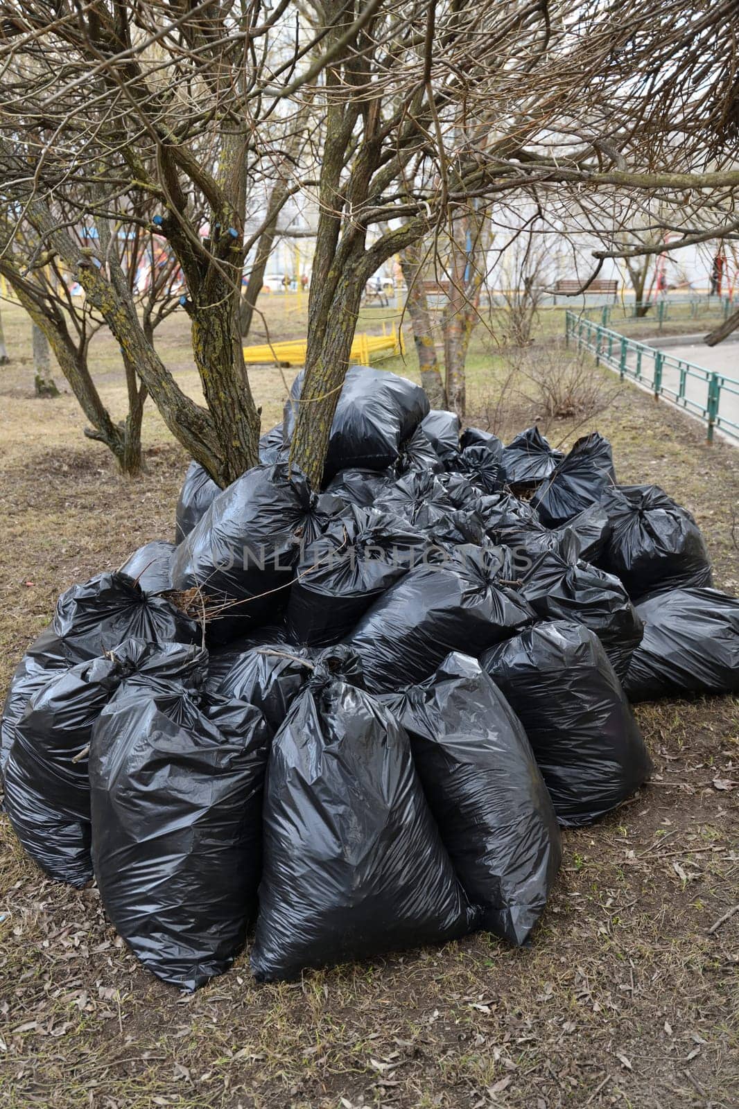 Spring garbage and last year's leaves in black bags near the tree by olgavolodina