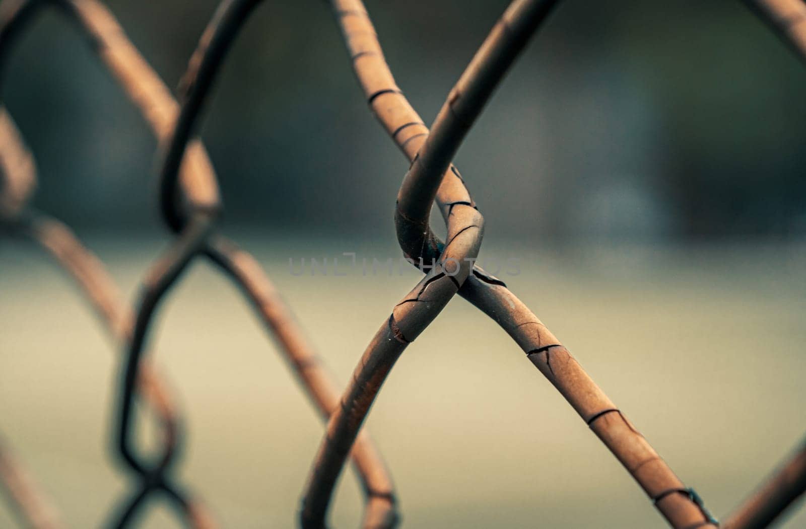 Close-up shot of rusted fence. Shallow focus.