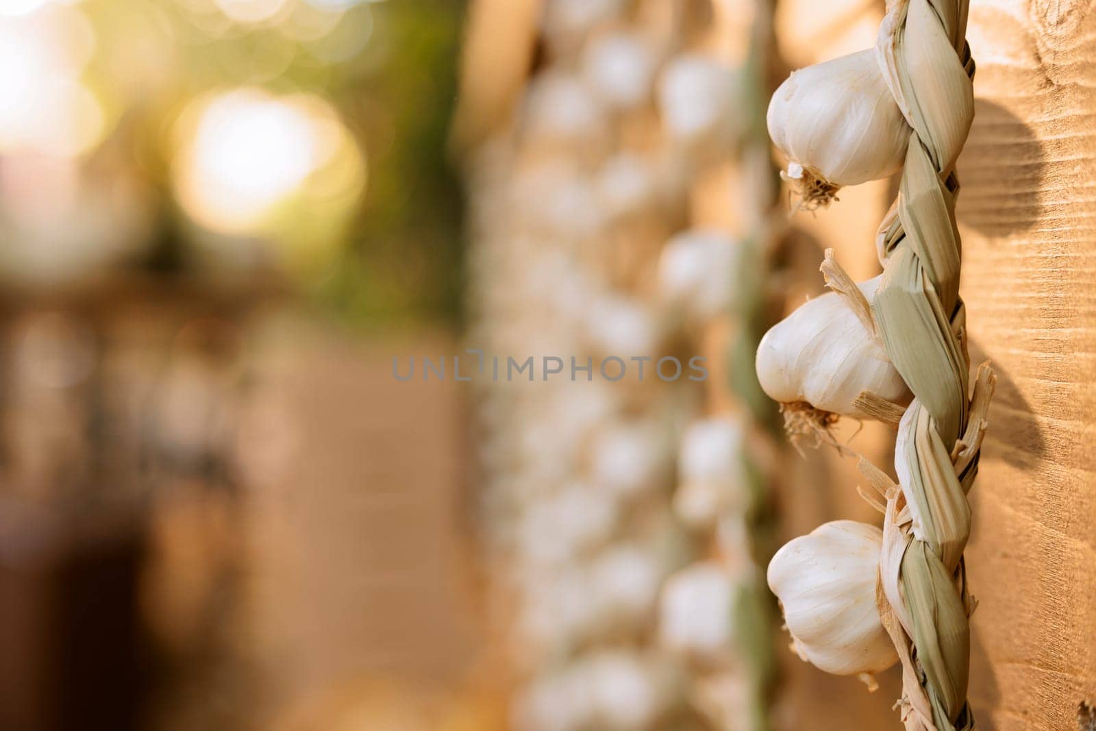 Selective focus of homegrown organic white cloves of garlic hanging over greenmarket stand. Detailed view of natural freshly harvested produce displayed on wooden farm fair booth.
