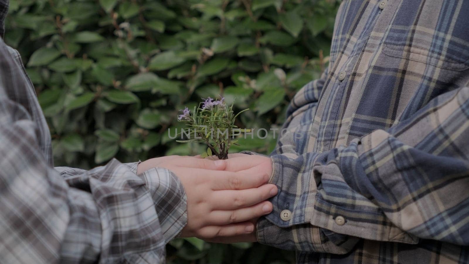 Boy planting a new tree, concept Save the Earth, save the world, save planet, ecology concept.photo