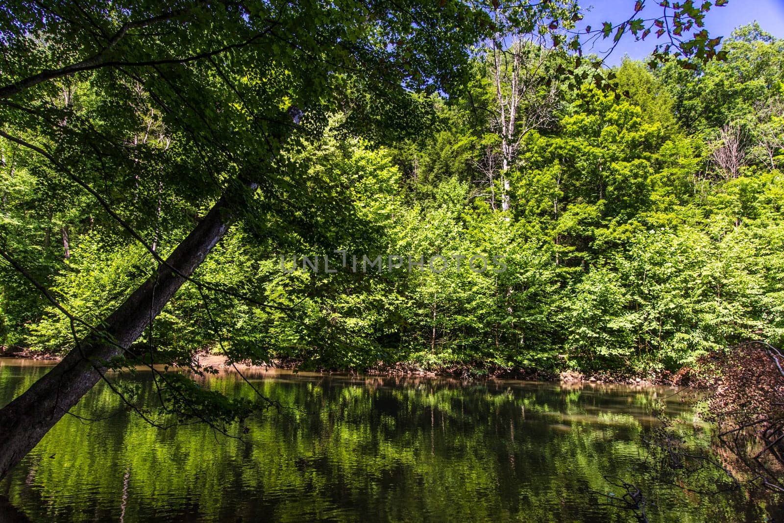 View of the Mohican River in Summer, Mohican State Park, Ohio