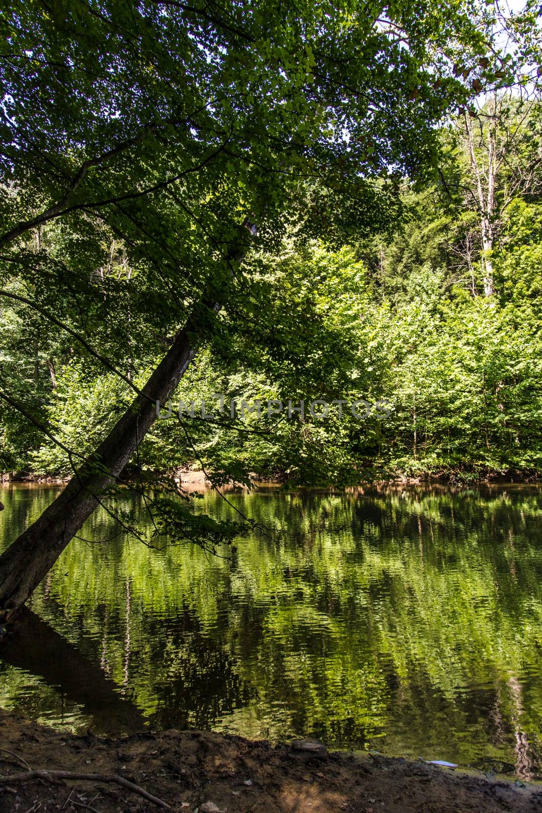 View of the Mohican River in Summer, Mohican State Park, Ohio